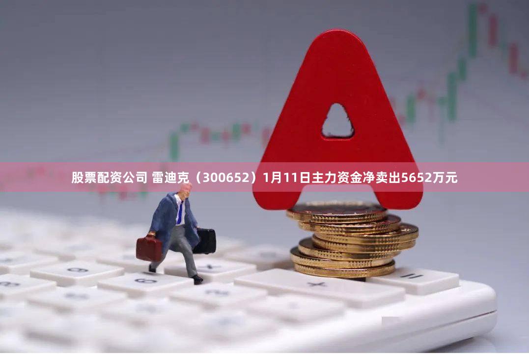 股票配资公司 雷迪克（300652）1月11日主力资金净卖出5652万元