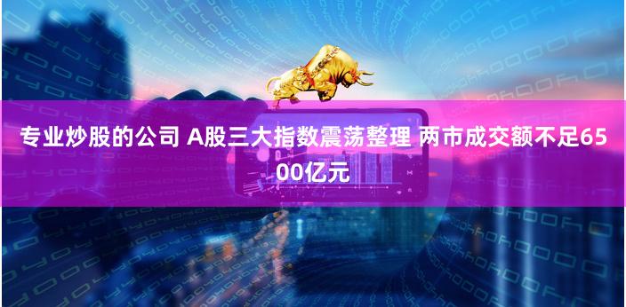专业炒股的公司 A股三大指数震荡整理 两市成交额不足6500亿元