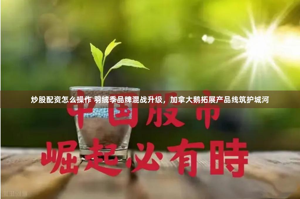 炒股配资怎么操作 羽绒季品牌混战升级，加拿大鹅拓展产品线筑护城河